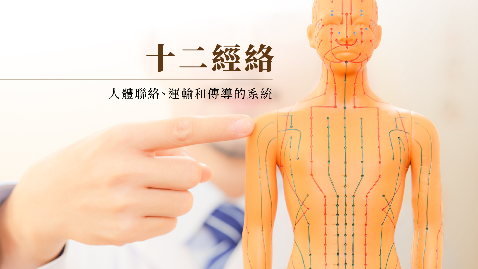 十二經絡